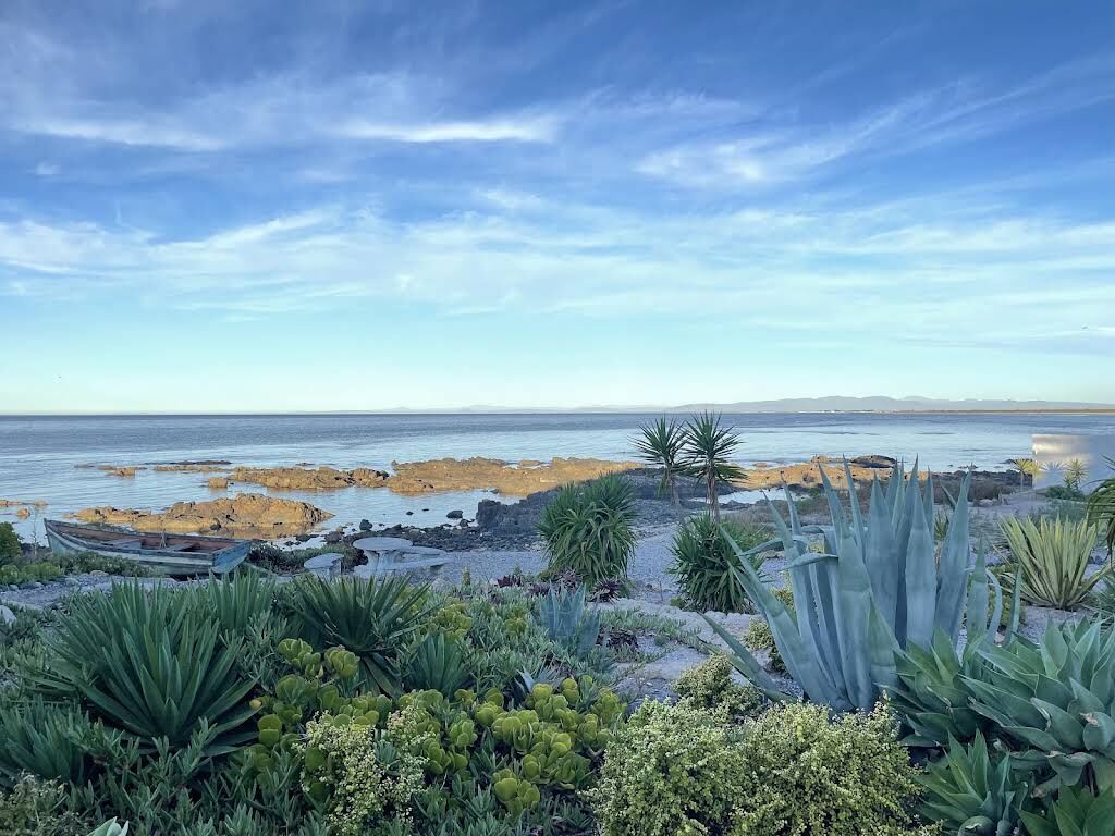 Aloes and succulents in front of the rocky shore and the Atlantic at Slipper Bay